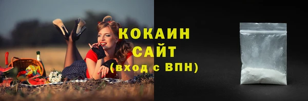 тгк Корсаков