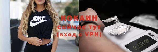 ГАЛЛЮЦИНОГЕННЫЕ ГРИБЫ Коряжма