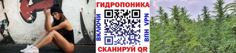 Шишки марихуана Bruce Banner Купить где Руза